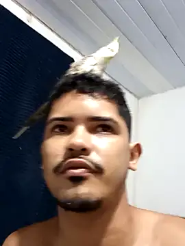 Snapshot of 44corninho chatting on February 24, 2025, 11:52 pm 44corninho online show from February 24, 2025, 11:52 pm