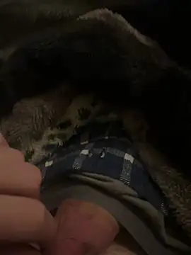 Snapshot of hamoo23p chatting on February 22, 2026, 2:45 am hamoo23p online show from February 22, 2026, 2:45 am