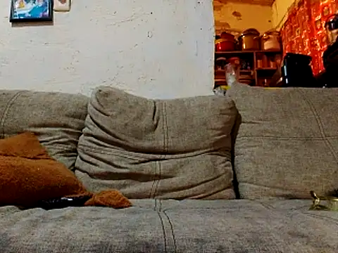 NewBe9D9 online show from November 23, 2025, 9:42 am