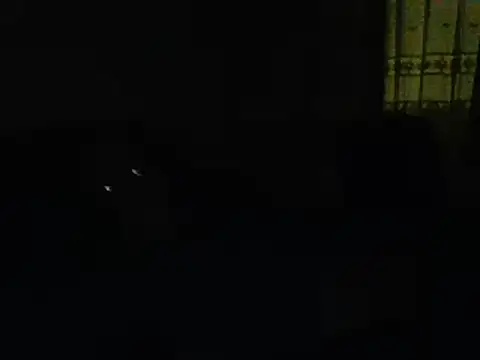 Snapshot of farock chatting on January 11, 2025, 5:52 am farock online show from January 11, 2025, 5:52 am