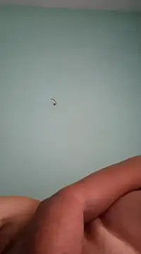 Snapshot of alexjs84 chatting on December 16, 2024, 11:12 am alexjs84 online show from December 16, 2024, 11:12 am