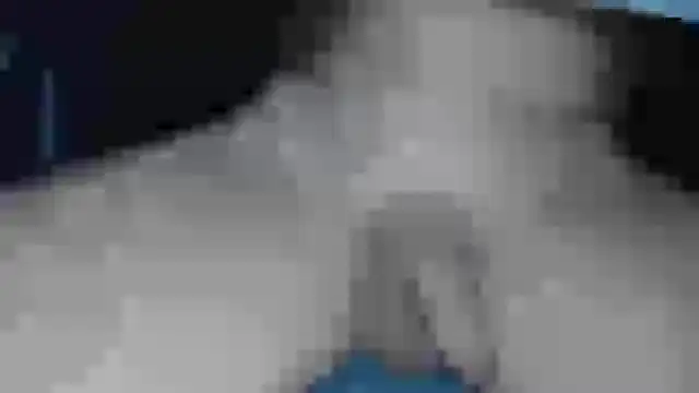 Snapshot of cs1512 chatting on February 13, 2025, 6:38 pm cs1512 online show from February 13, 2025, 6:38 pm