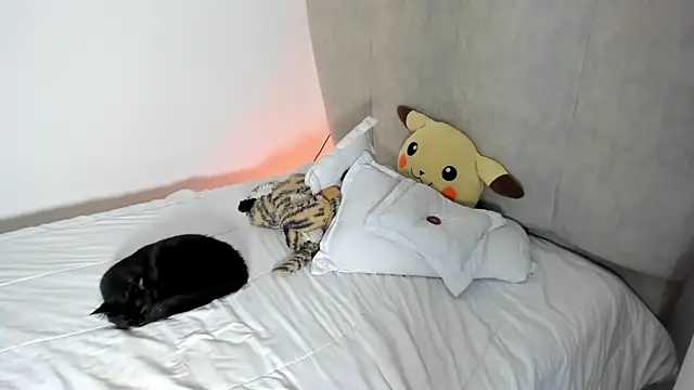 Snapshot of rachaeldeckard__ chatting on January 25, 2025, 8:10 am rachaeldeckard online show from January 25, 2025, 8:10 am