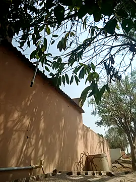 carria homes online show from March 14, 2025, 9:14 am