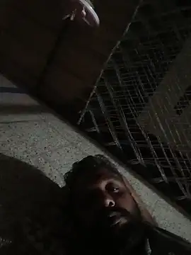 carria homes online show from October 10, 2025, 7:35 pm