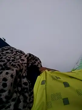 Snapshot of fredfgr chatting on September 23, 2025, 12:41 pm fredfgr online show from September 23, 2025, 12:41 pm