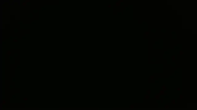 maison sofia1 online show from March 28, 2026, 6:57 am