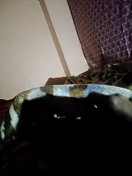 tamilenglish online show from April 18, 2026, 6:56 pm