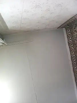 Snapshot of Lauren_Amabel chatting on November 12, 2025, 8:30 pm Lauren Amabel online show from November 12, 2025, 8:30 pm