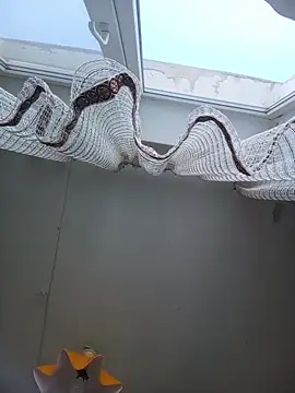 Lauren Amabel online show from February 22, 2026, 8:24 am