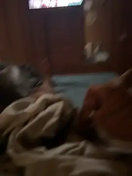 ferdi190 online show from October 11, 2025, 10:58 am