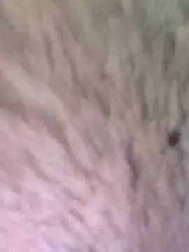 TOPMOON001 online show from March 7, 2025, 6:24 am