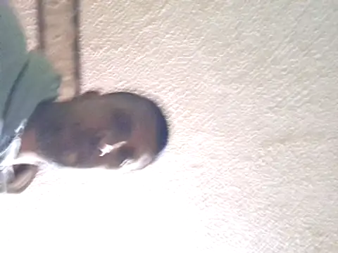 Snapshot of ElHades086 chatting on January 13, 2025, 6:16 pm ElHades086 online show from January 13, 2025, 6:16 pm