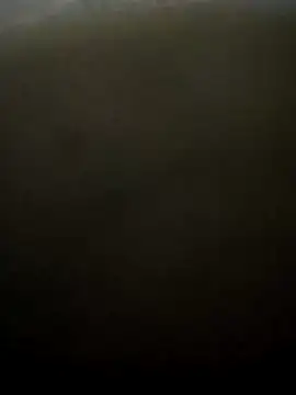 Snapshot of puneribull chatting on March 8, 2025, 8:46 pm puneribull online show from March 8, 2025, 8:46 pm