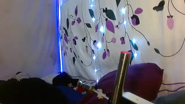 kattislut77 online show from February 7, 2026, 7:50 pm