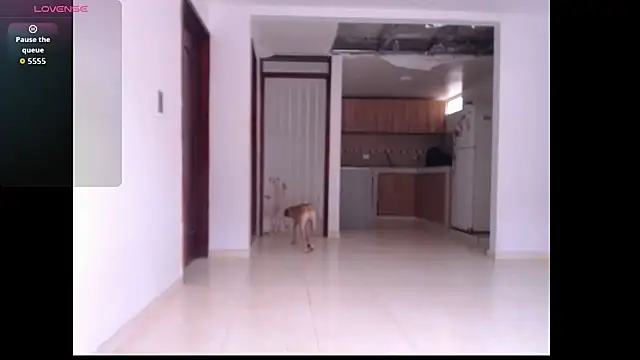 leslycarsson online show from October 7, 2025, 7:11 pm