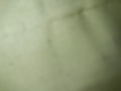 Snapshot of Ktosik88 chatting on January 18, 2026, 7:50 pm Ktosik88 online show from January 18, 2026, 7:50 pm