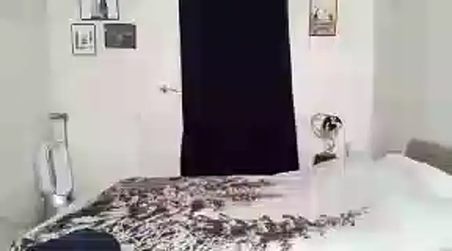 Snapshot of alexandrezeke chatting on February 27, 2025, 10:37 am alexandrezeke online show from February 27, 2025, 10:37 am