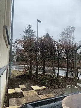 Snapshot of Ciara2004 chatting on February 11, 2026, 1:27 pm Ciara2004 online show from February 11, 2026, 1:27 pm