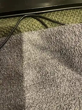 Snapshot of Prolapse_Pig chatting on November 13, 2025, 2:32 am Prolapse Pig online show from November 13, 2025, 2:32 am