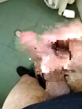 arveia online show from March 19, 2026, 1:37 pm