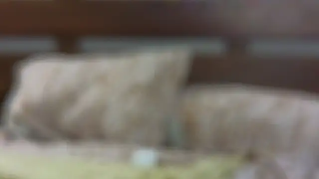 Snapshot of SallyCha chatting on February 18, 2025, 12:15 am SallyCha online show from February 18, 2025, 12:15 am