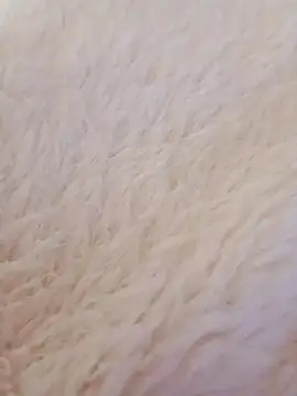 Snapshot of feketedemon36 chatting on January 21, 2025, 9:15 pm feketedemon36 online show from January 21, 2025, 9:15 pm