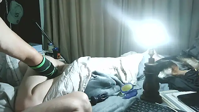 xylegs online show from June 21, 2026, 2:47 am