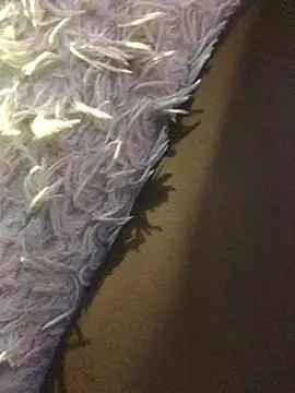 Snapshot of staroill chatting on February 20, 2025, 11:42 am staroill online show from February 20, 2025, 11:42 am