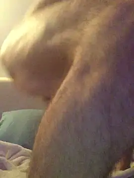 Pilote19 online show from December 1, 2025, 5:51 pm