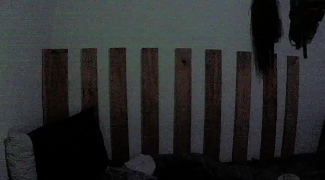 Snapshot of DarkhellMiss chatting on February 10, 2025, 10:40 pm DarkhellMiss online show from February 10, 2025, 10:40 pm