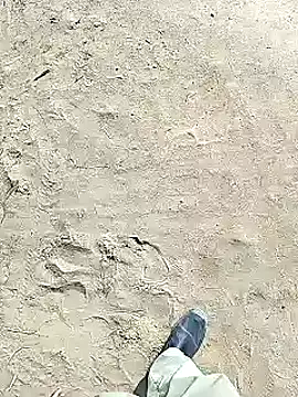 Snapshot of xmanrawan2 chatting on February 2, 2025, 6:37 am xmanrawan2 online show from February 2, 2025, 6:37 am