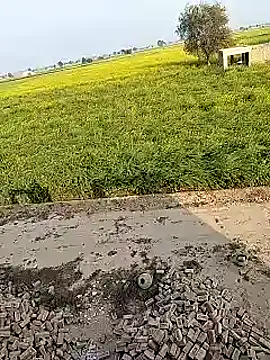 Snapshot of xmanrawan2 chatting on February 2, 2025, 10:57 am xmanrawan2 online show from February 2, 2025, 10:57 am