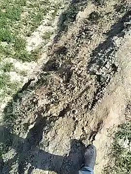 Snapshot of xmanrawan2 chatting on February 4, 2025, 7:29 am xmanrawan2 online show from February 4, 2025, 7:29 am