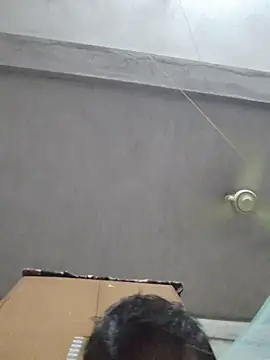 Snapshot of birds0641 chatting on October 12, 2025, 5:56 pm birds0641 online show from October 12, 2025, 5:56 pm