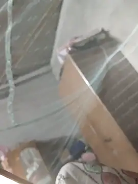 Snapshot of birds0641 chatting on March 31, 2026, 7:36 pm birds0641 online show from March 31, 2026, 7:36 pm