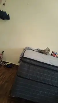 JapeDoBryan online show from May 16, 2026, 6:28 pm