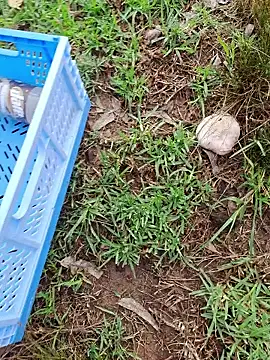 RichardHard 1 online show from January 17, 2026, 9:07 pm