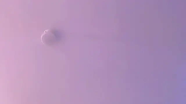 leahaltomm online show from April 18, 2026, 2:26 am