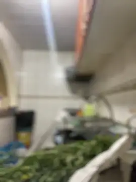 Carola-Ross online show from March 24, 2026, 5:40 pm