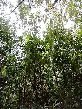 Pussy-Hairy-Horny online show from February 23, 2025, 9:59 pm