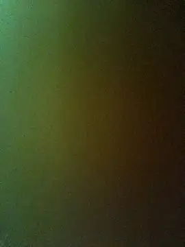 Snapshot of PPP-30 chatting on February 20, 2025, 1:40 pm PPP-30 online show from February 20, 2025, 1:40 pm