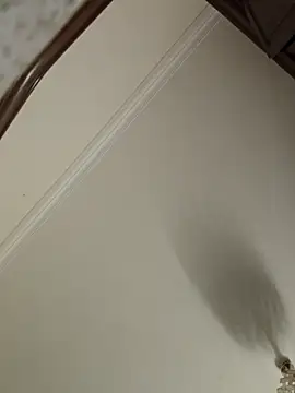 Loly2025 online show from April 19, 2026, 1:16 am