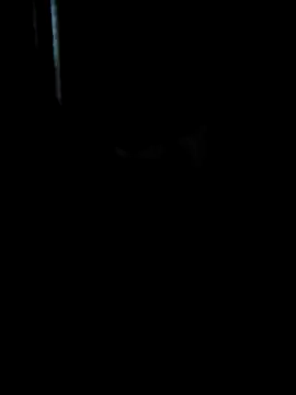 Ruanie online show from April 13, 2026, 7:03 am