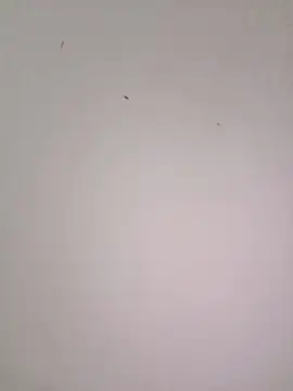 EmmaSulivan online show from February 21, 2026, 11:11 am