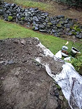 Snapshot of KingSlim56 chatting on November 15, 2025, 8:16 pm KingSlim56 online show from November 15, 2025, 8:16 pm