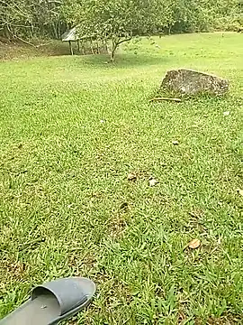 Snapshot of Mycansonhot chatting on October 23, 2025, 4:50 pm Mycansonhot online show from October 23, 2025, 4:50 pm