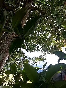 Mycansonhot online show from April 11, 2026, 7:18 pm