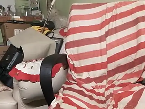 Snapshot of calme_odl1 chatting on February 9, 2025, 3:34 pm calme odl1 online show from February 9, 2025, 3:34 pm