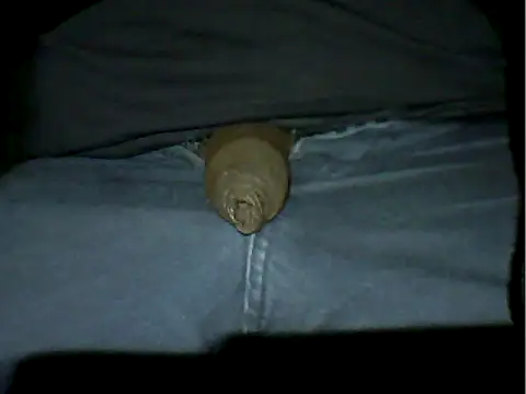 Mthondo-qinile online show from November 18, 2025, 9:30 pm